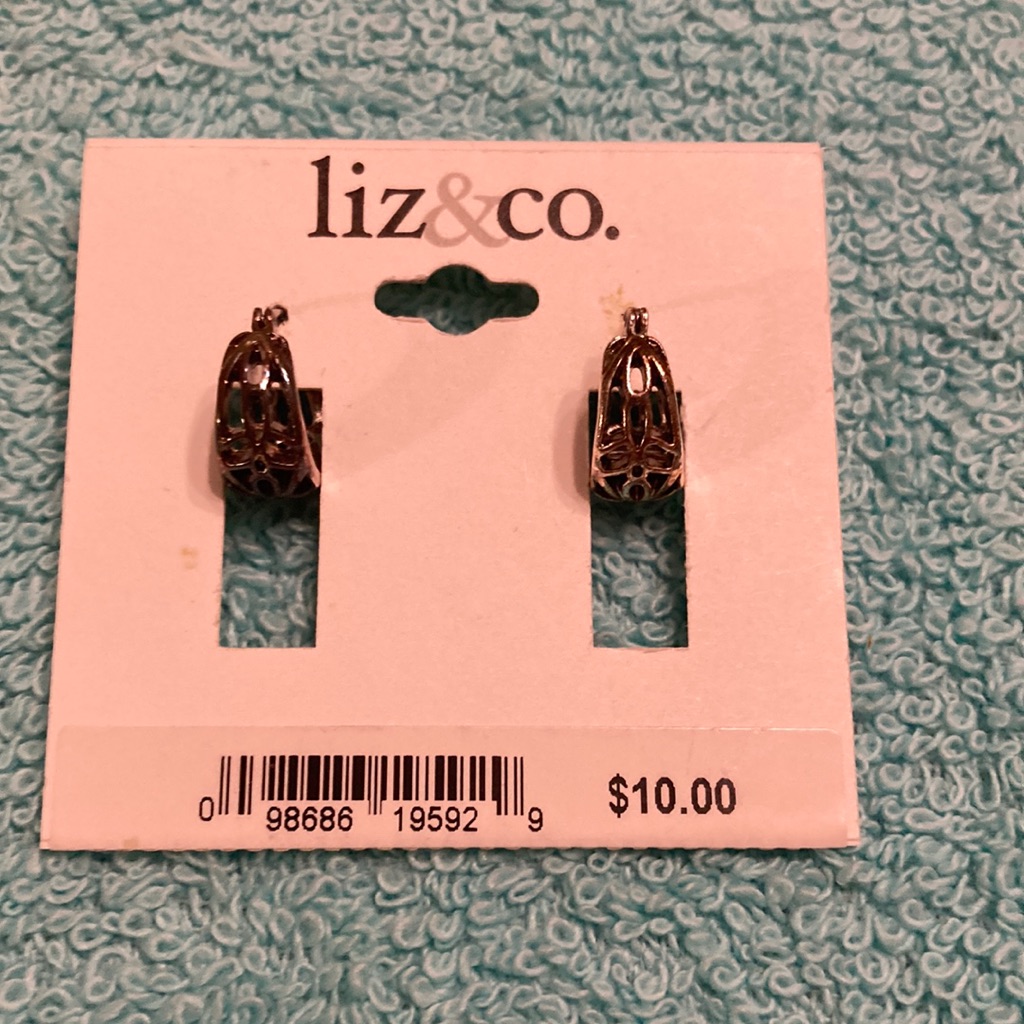 Nwt Liz&Co. Earrings